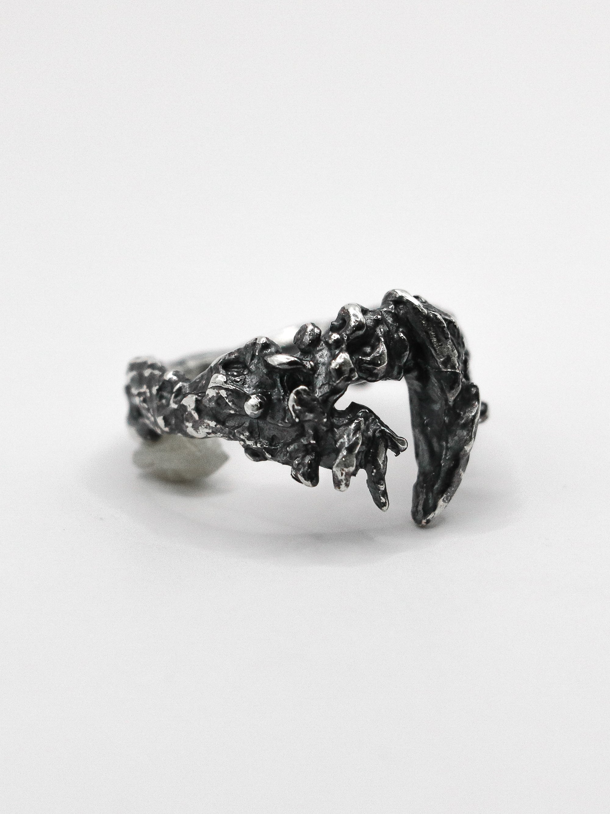 tusk ring / 925 silver